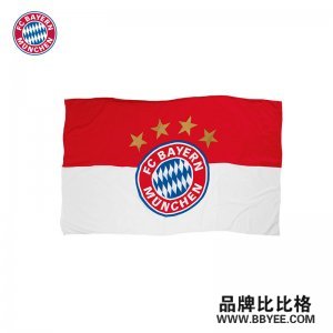 FC Bayern Munich/Ľ